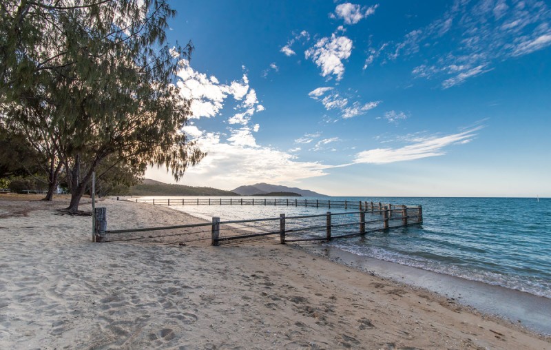 BIRDSONG HOUSE 1200px 01