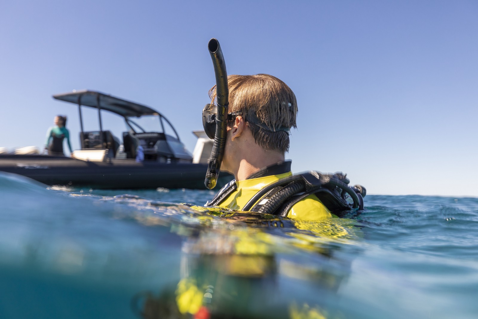 diving whitsunday teqld