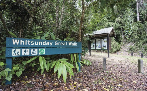 Bushwalks in Airlie Beach